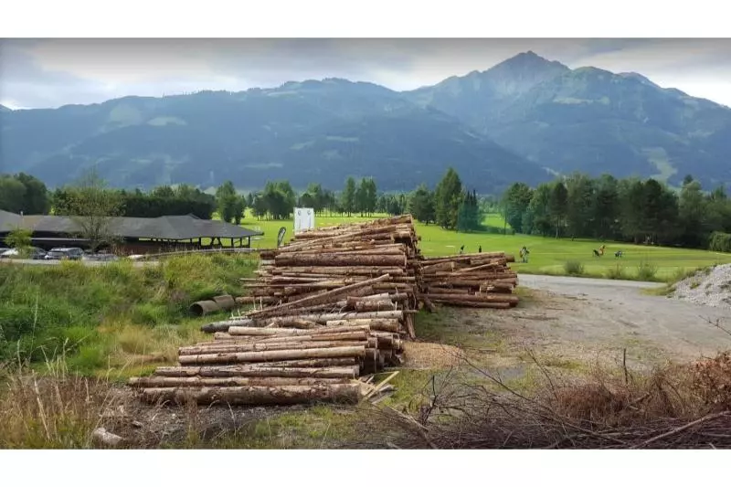 Fotos del hotel Gasthof Limberghof:  11