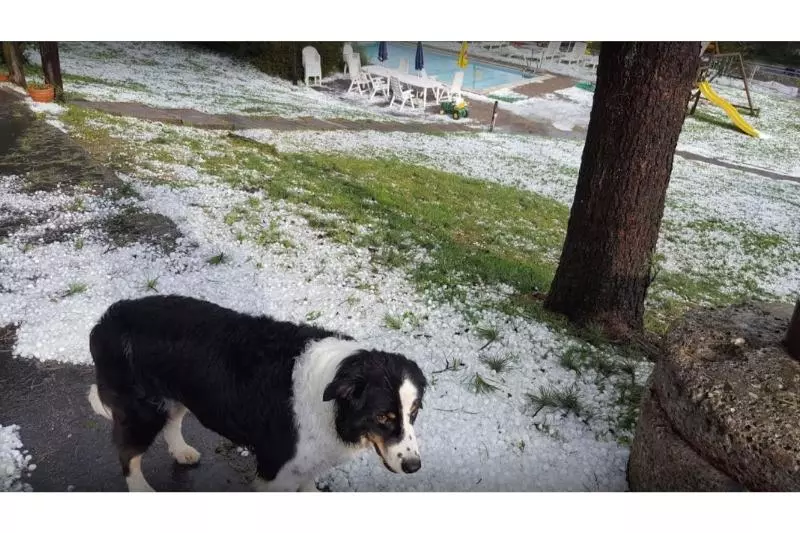 Fotos del hotel Gasthof Limberghof:  6