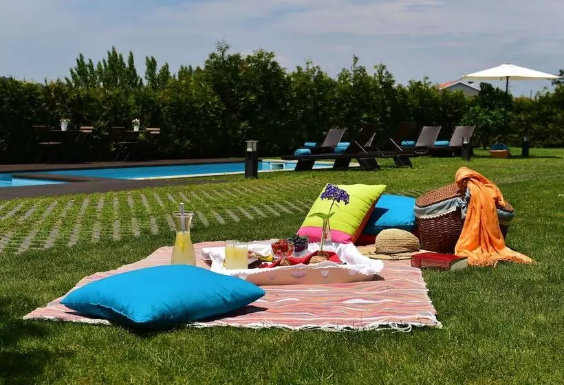 Fotos del hotel Solar Egas Moniz Charming House & Local Experiences:  17