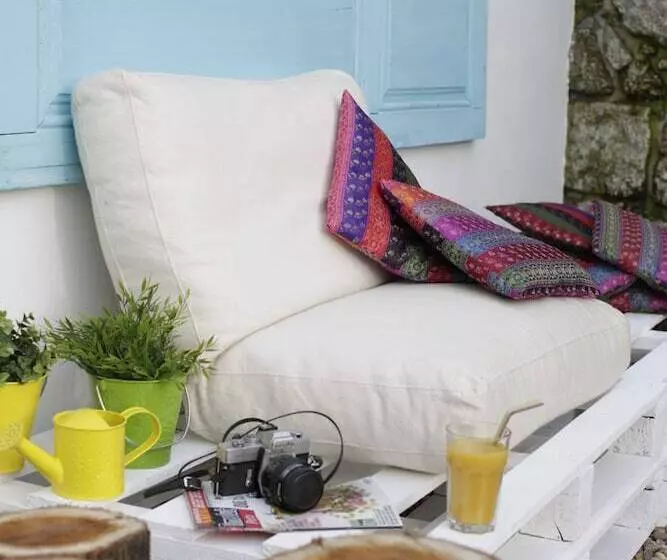 Fotos del hotel Solar Egas Moniz Charming House & Local Experiences:  14