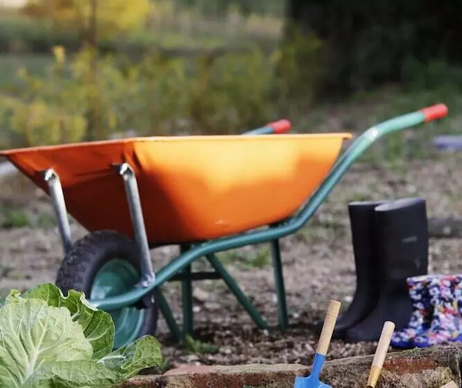 Fotos del hotel Solar Egas Moniz Charming House & Local Experiences:  21