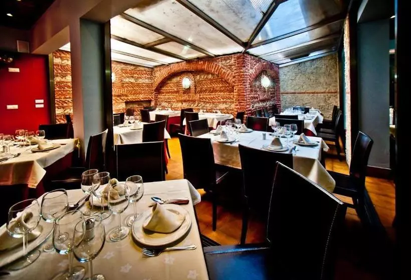 Fotos del hotel Condes De Castilla:  18