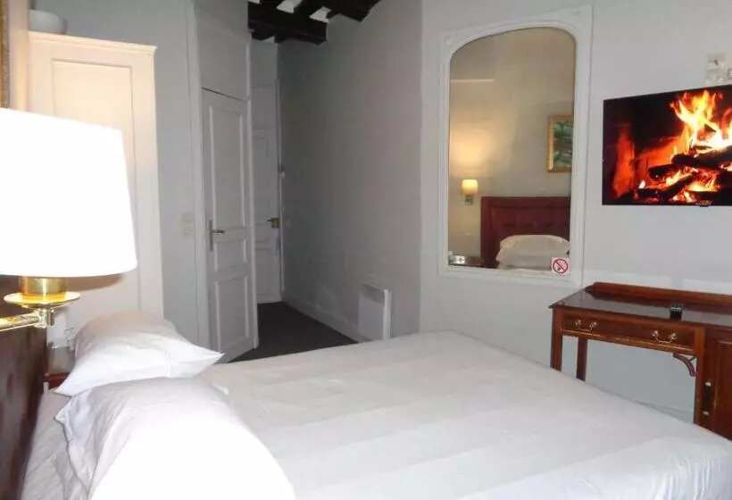 Fotos del hotel Hôtel Les Degrés De Notre Dame:  14