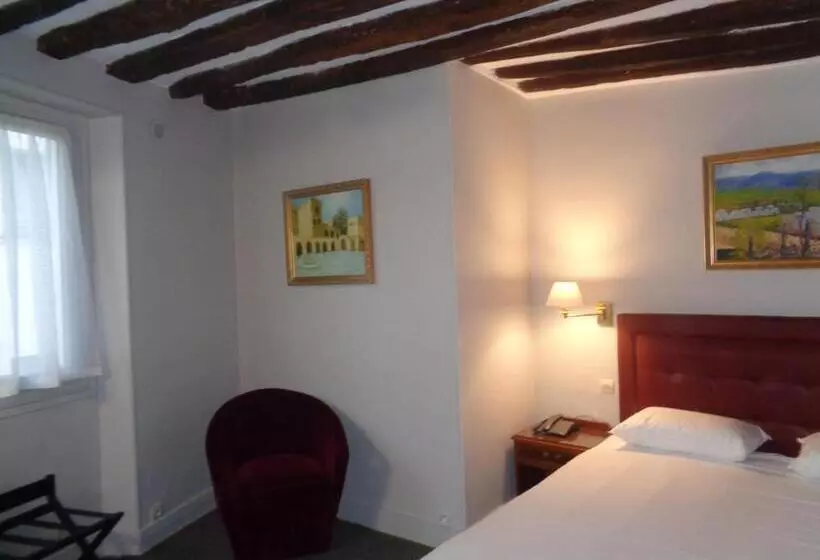 Fotos del hotel Hôtel Les Degrés De Notre Dame:  9