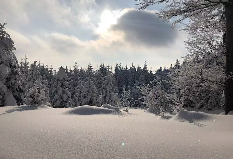 Fotos del hotel Bajt Maribor:  8