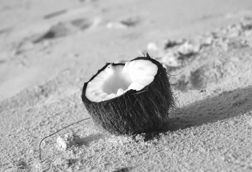 Fotos del hotel Le Domaine De L Orangeraie Resort And Spa:  16