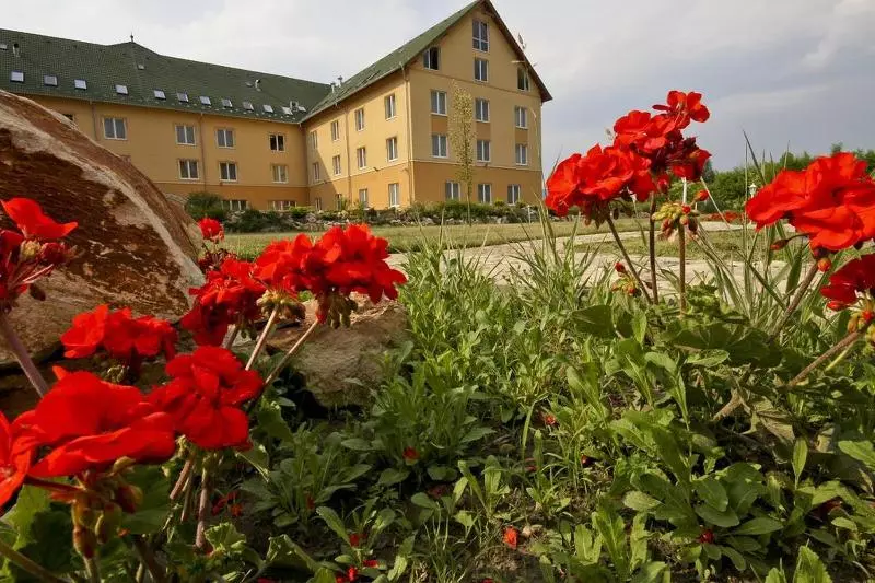 Fotos del hotel Vis Vitalis Medical Wellness:  8