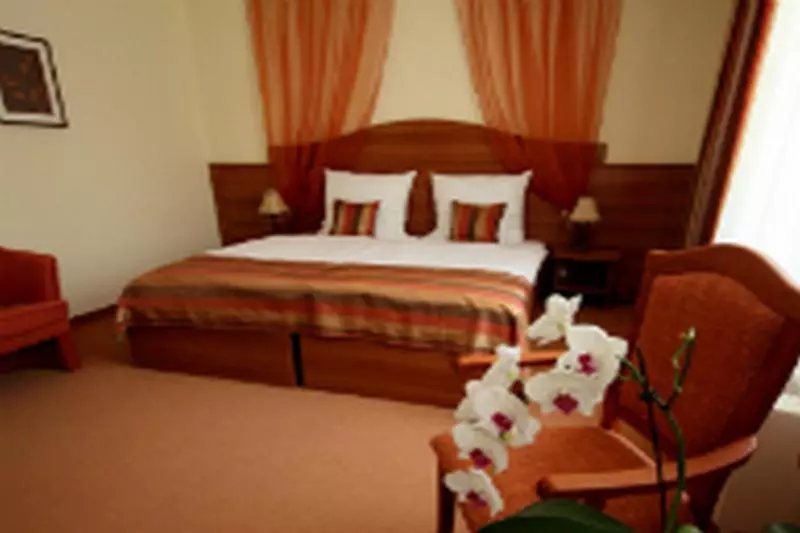 Fotos del hotel Vis Vitalis Medical Wellness:  2