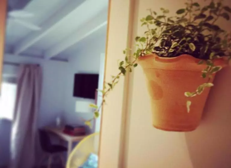 Fotos del hotel Ca's Papà:  22