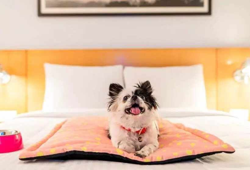 Fotos del hotel Ibis Jaipur Civil Lines:  19