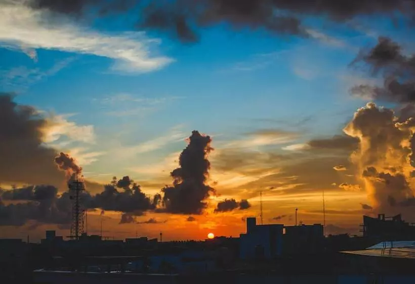 Fotos del hotel The Palm At Playa:  8