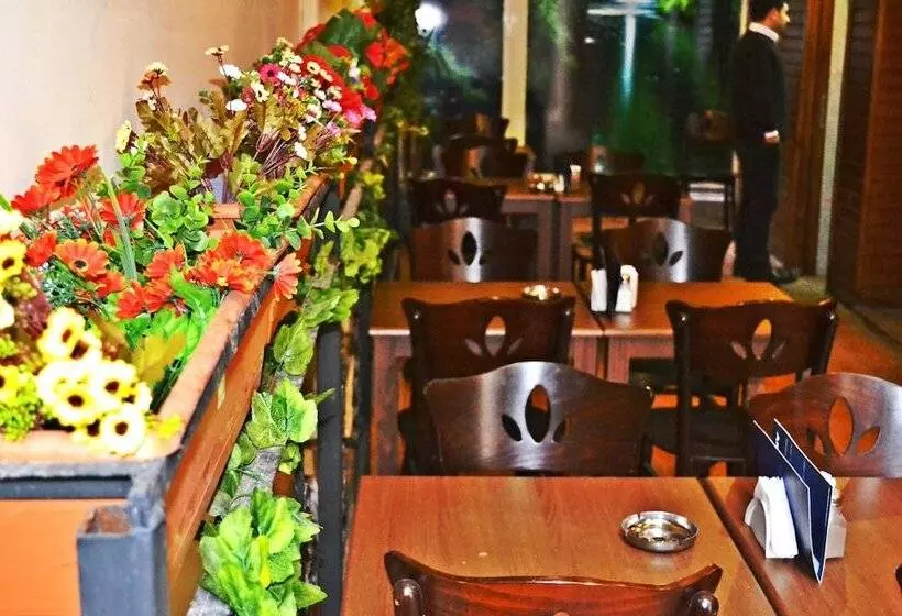 Fotos del hotel Alyon Hotel Taksim:  15