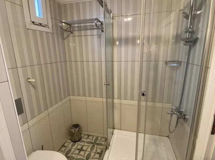 Fotos del hotel Alyon Hotel Taksim:  5