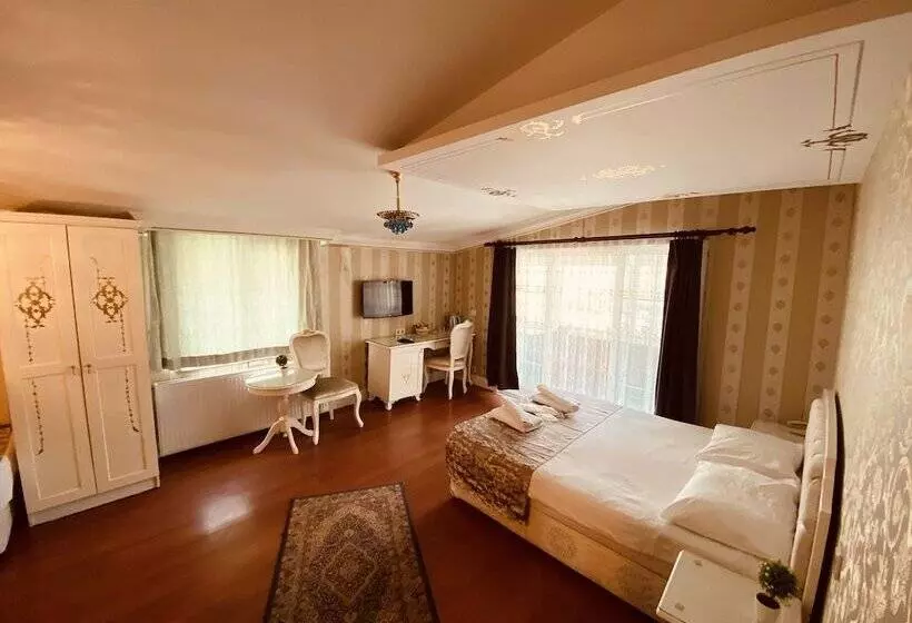 Fotos del hotel Alyon Hotel Taksim:  1