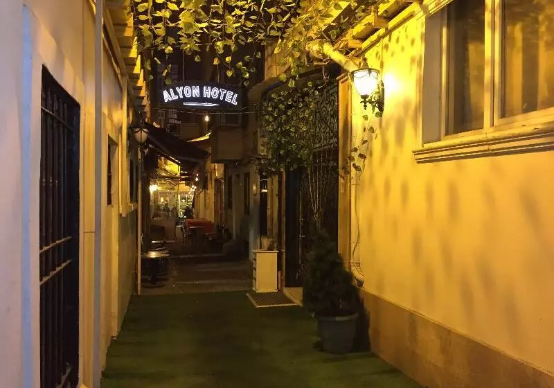 Fotos del hotel Alyon Hotel Taksim:  16