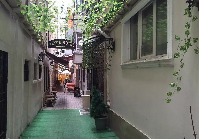 Fotos del hotel Alyon Hotel Taksim:  7