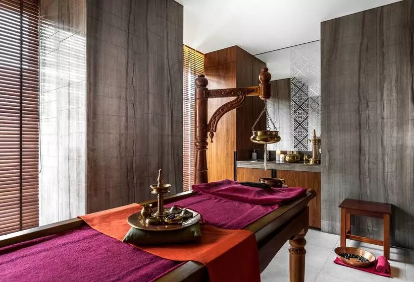 Fotos del hotel Hyatt Ahmedabad:  5