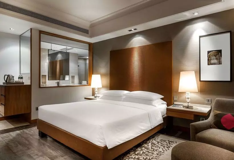 Fotos del hotel Hyatt Ahmedabad:  2