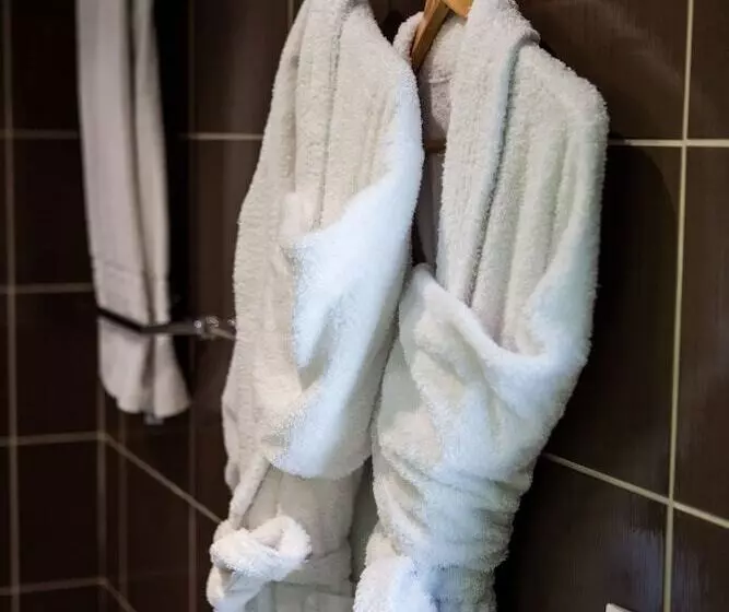 Fotos del hotel Kyriad Prestige Dijon Nord  Valmy:  24