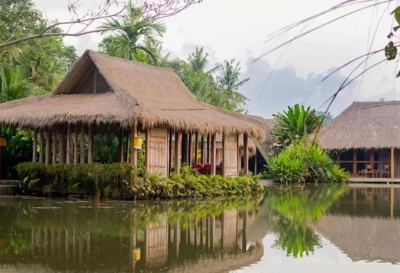 Fotos del hotel Sapulidi Resort Spa & Gallery Bali:  13