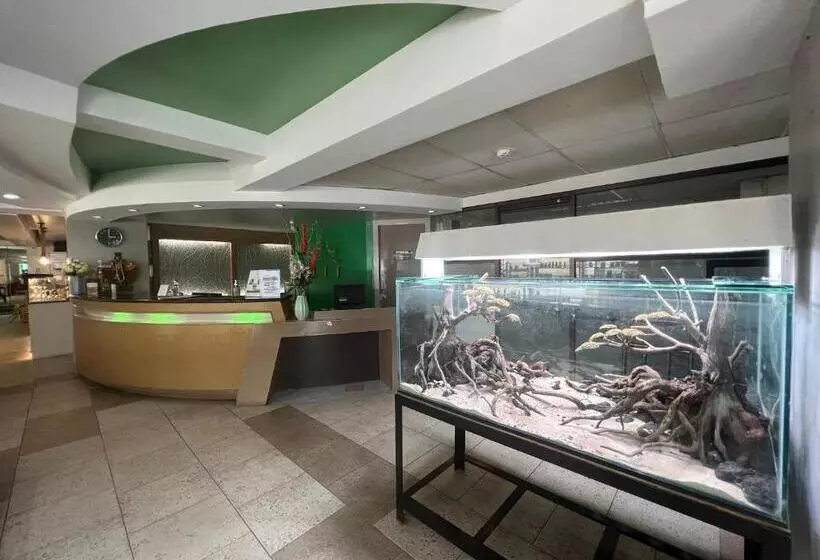 Fotos del hotel Century Plaza:  3