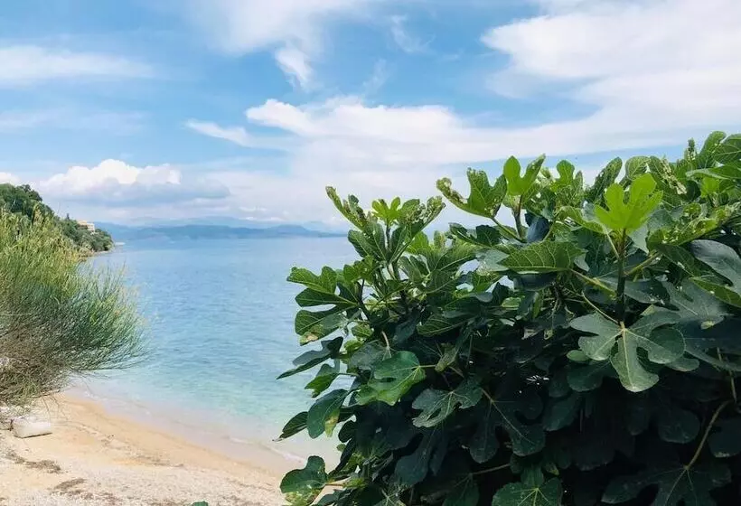 Fotos del hotel Corfu Glyfa:  10