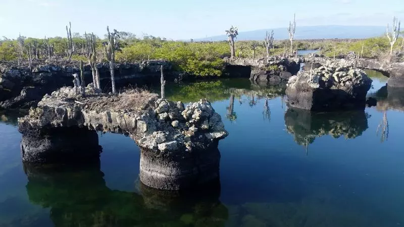 Fotos del hotel Albemarle:  24