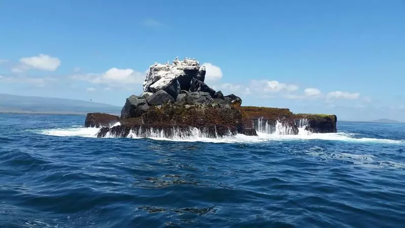 Fotos del hotel Albemarle:  20