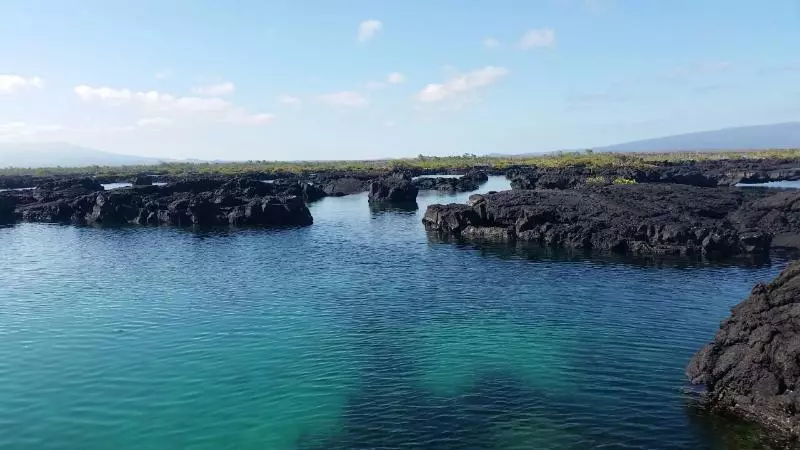 Fotos del hotel Albemarle:  8