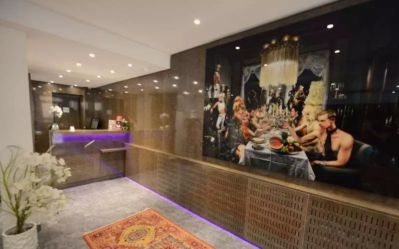 Fotos del hotel Hôtel De La Gaîté:  3