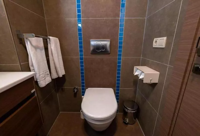 Fotos del hotel Elanaz:  8