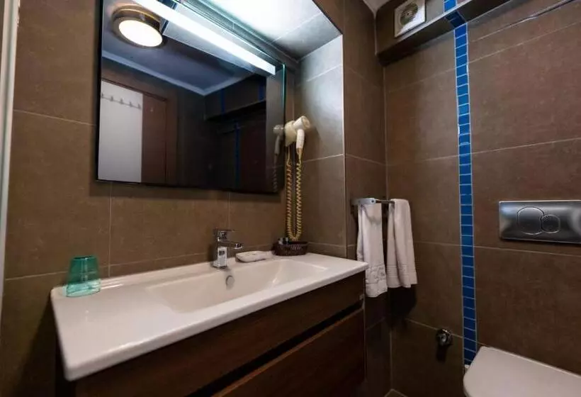 Fotos del hotel Elanaz:  12