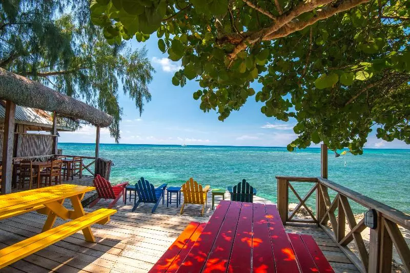 Fotos del hotel Las Rocas Resort And Dive Center:  13