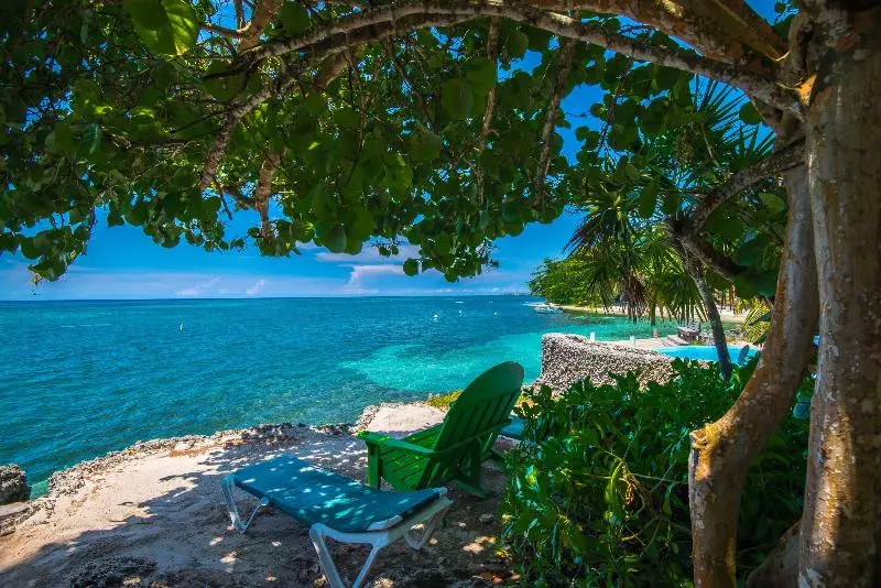 Fotos del hotel Las Rocas Resort And Dive Center:  11