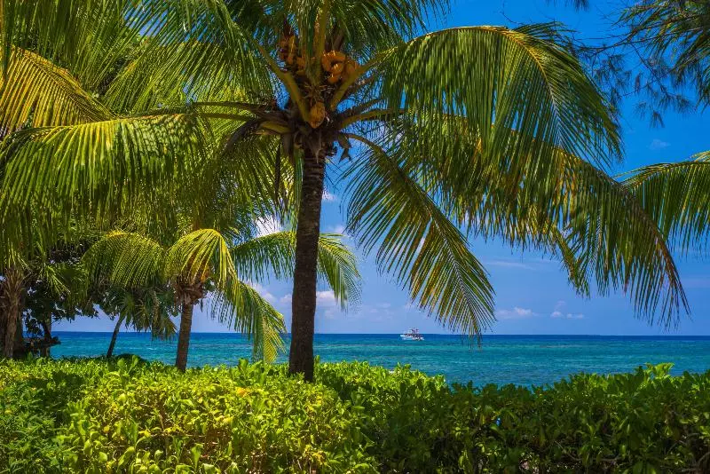 Fotos del hotel Las Rocas Resort And Dive Center:  15