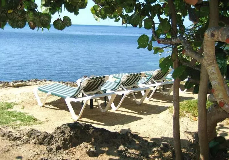 Fotos del hotel Las Rocas Resort And Dive Center:  17