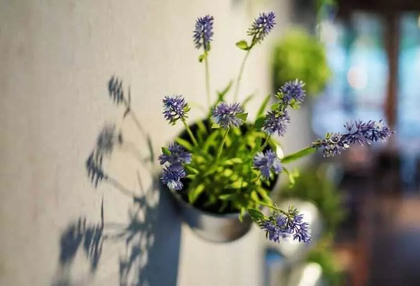 Fotos del hotel Raphael Hotel Wälderhaus:  13