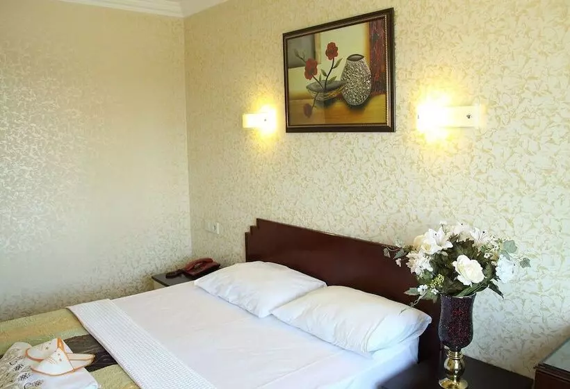 Fotos del hotel Akyildiz:  22