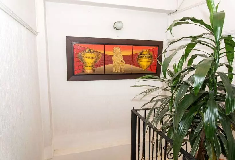 Fotos del hotel Fenix Real:  12