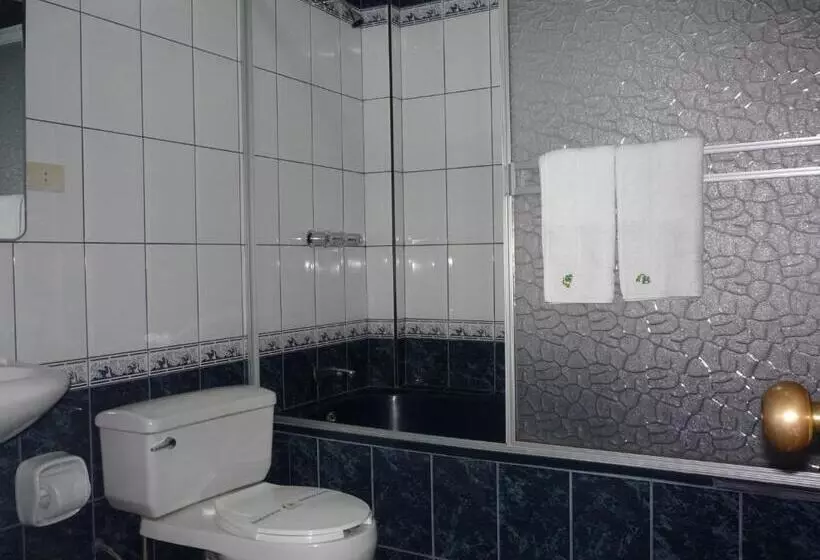 Fotos del hotel Torre Norte:  15