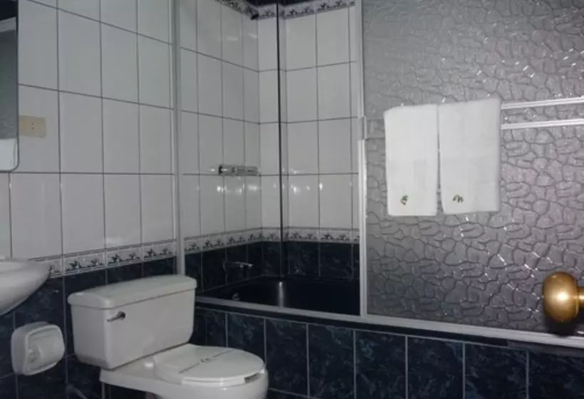 Fotos del hotel Torre Norte:  11