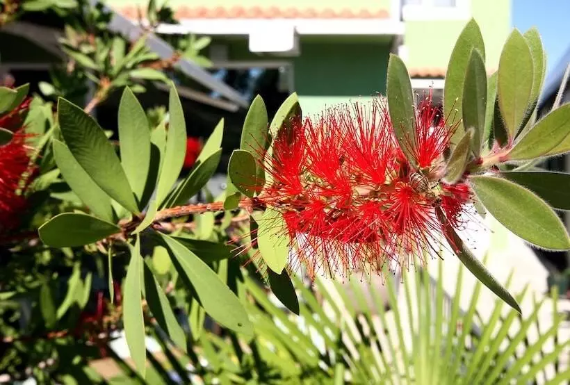 Fotos del hotel Aruba:  6