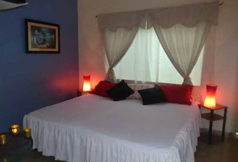 Fotos del hotel Jeshua Inn Guayaquil:  21