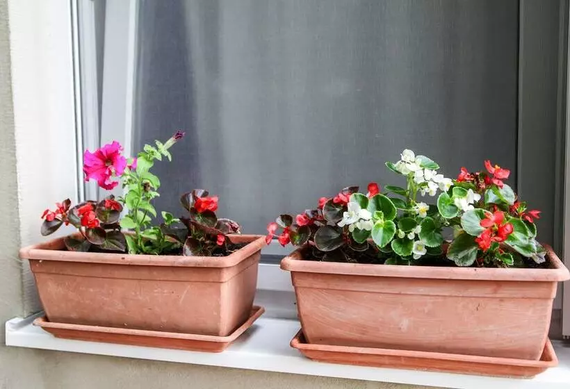 Fotos del hotel Family Guesthouse In Forest Ana & Stjepan Nikoli?:  22