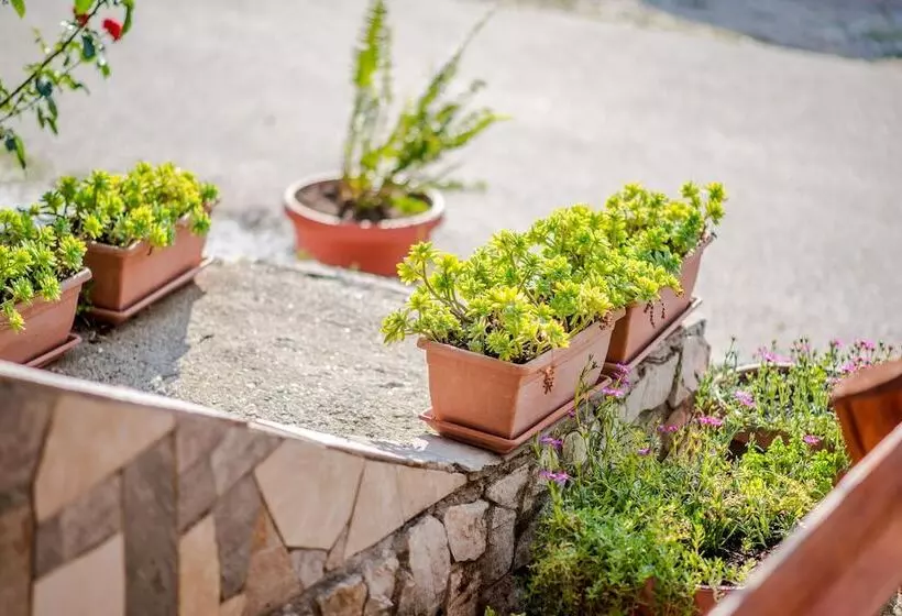 Fotos del hotel Family Guesthouse In Forest Ana & Stjepan Nikoli?:  20