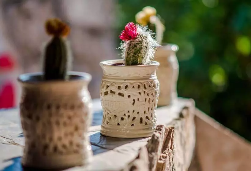 Fotos del hotel Family Guesthouse In Forest Ana & Stjepan Nikoli?:  19