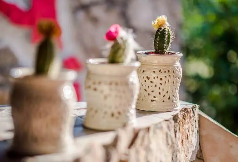 Fotos del hotel Family Guesthouse In Forest Ana & Stjepan Nikoli?:  11