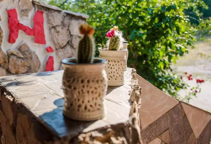 Fotos del hotel Family Guesthouse In Forest Ana & Stjepan Nikoli?:  21