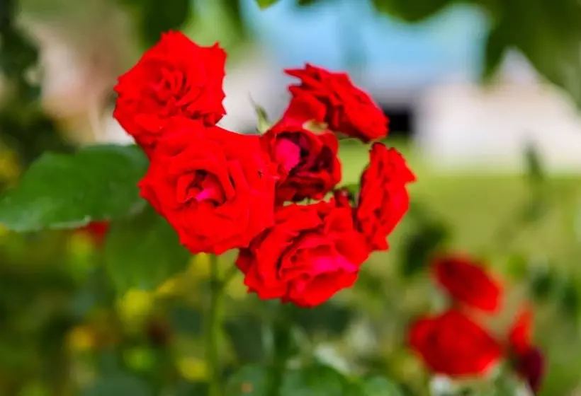 Fotos del hotel Family Guesthouse In Forest Ana & Stjepan Nikoli?:  15