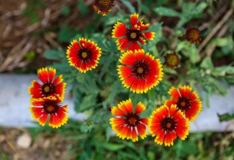 Fotos del hotel Family Guesthouse In Forest Ana & Stjepan Nikoli?:  3